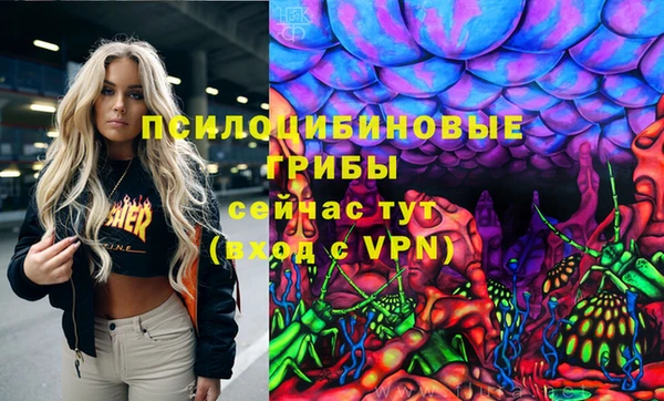 таблы Гусиноозёрск
